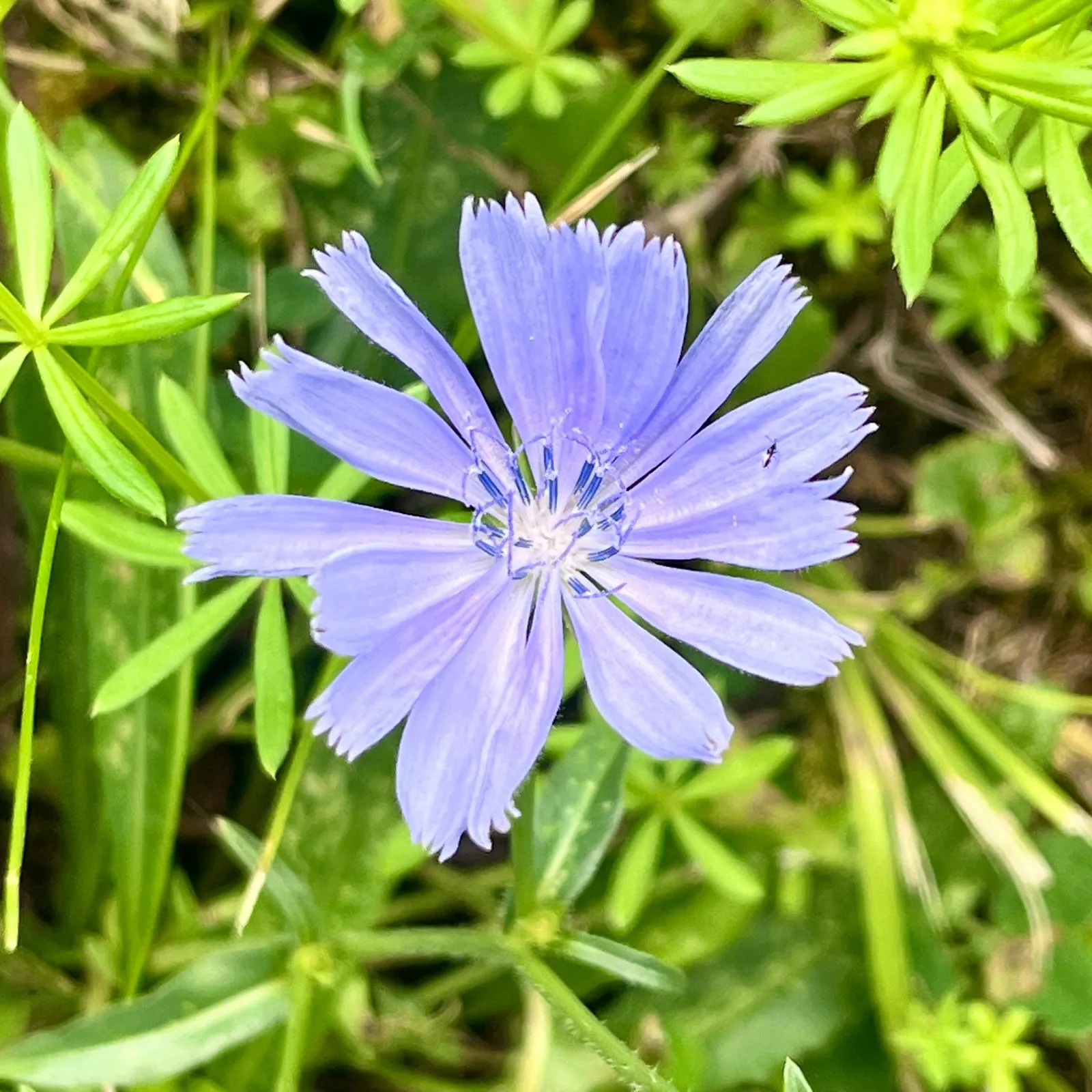 Naše programy pomoci